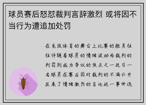 球员赛后怒怼裁判言辞激烈 或将因不当行为遭追加处罚